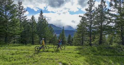 Couple ride mountain bikes onto grassy alpine ridge